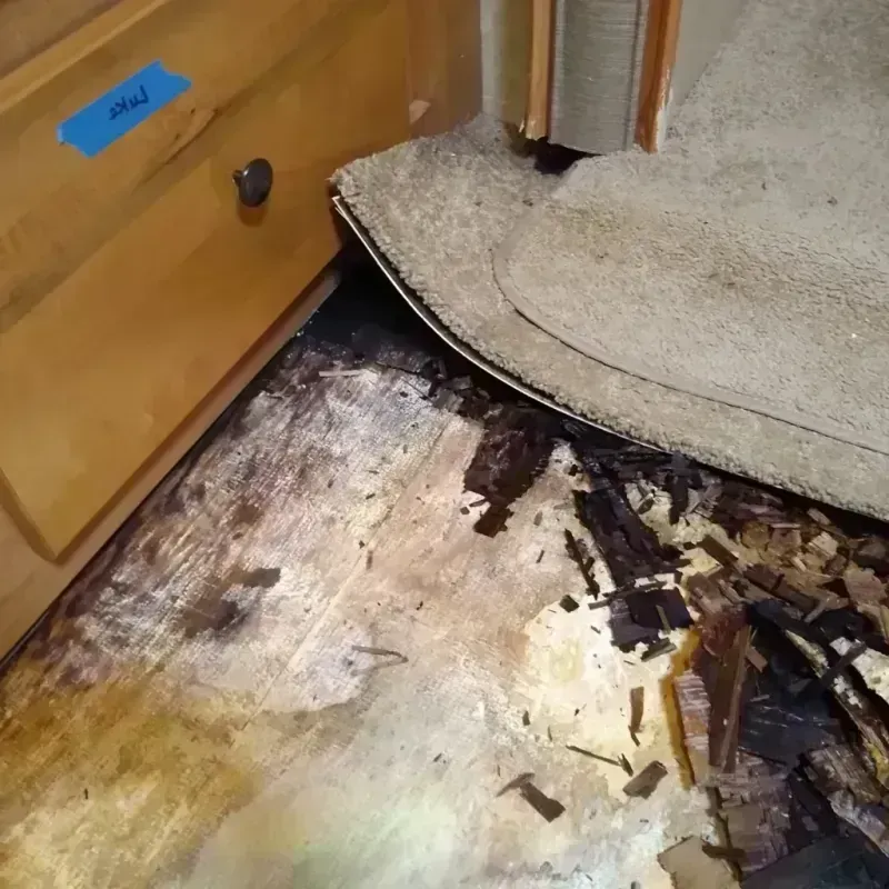 Wood Floor Water Damage in Alamosa County, CO